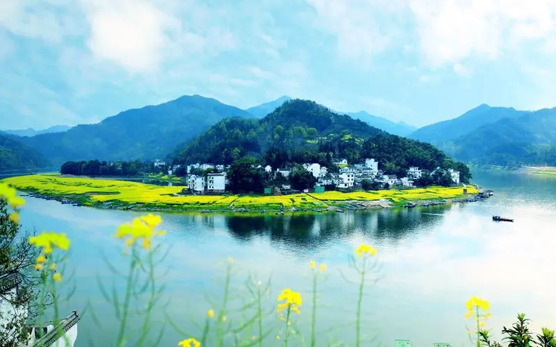 高效智能化